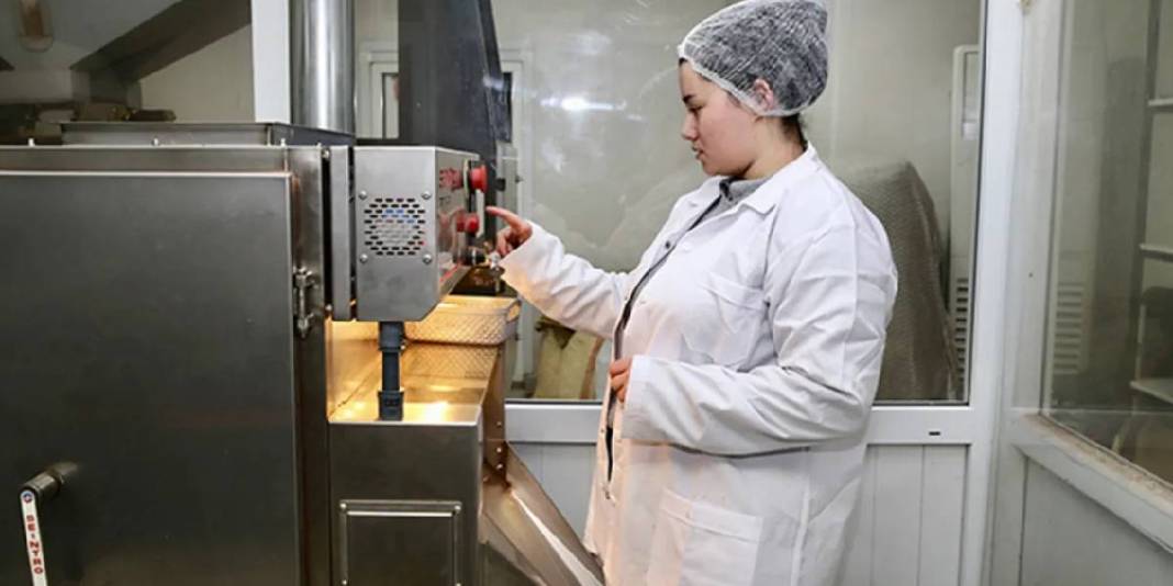 23 yaşında patronlukla tanıştı! 3 farklı şekilde işliyor: Geleceğe yatırım yapıyor 7